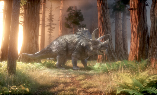 Triceratops horridus in natuurlijke leefomgeving