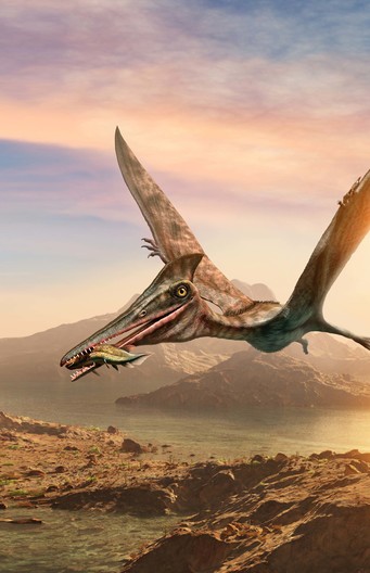 Pterosaurier in vlucht