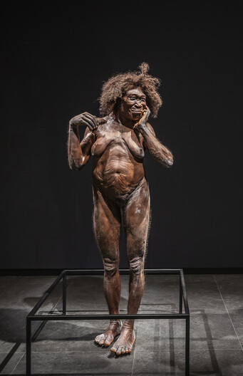 Een beeld van Homo erectus
