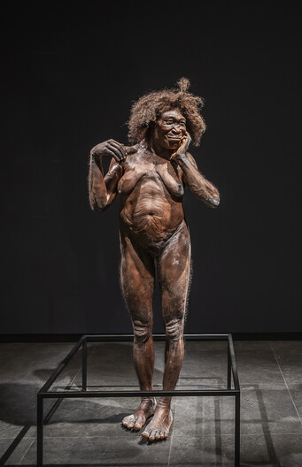 Een beeld van Homo erectus