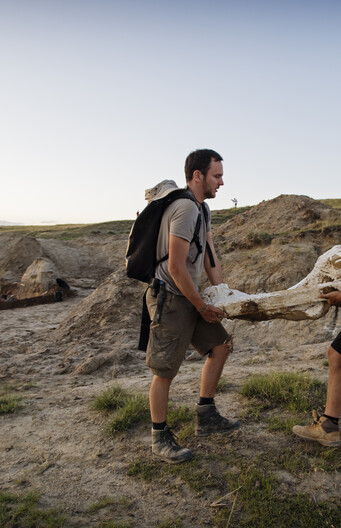 Opgraven van Triceratops in Wyoming.