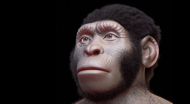 Zo heeft Homo naledi er mogelijk uitgezien.