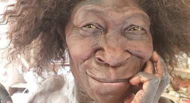 Het gereconstrueerde gezicht van Homo erectus