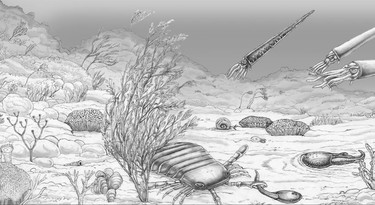Het Siluur (410-440 miljoen jaar geleden).jpg