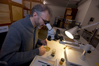 Menno Schilthuizen doet onderzoek in het lab.