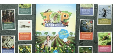 banner voor TOP insecten thema