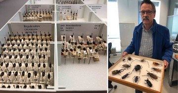 Hans Huijbregts en kevers uit de collectie van Naturalis