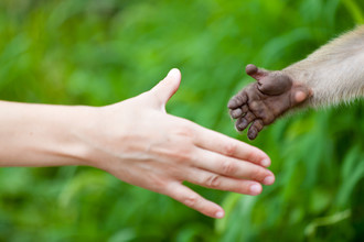 Heb jij al kennisgemaakt met al je familieleden?