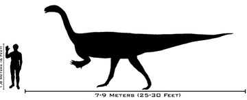 Grootte van Plateosaurus