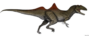 Concavenator