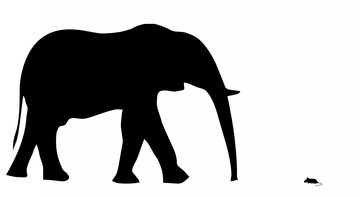 Olifant en muis