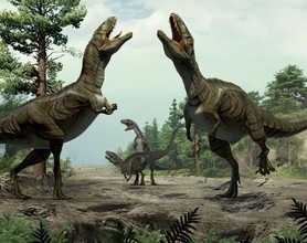Dansende dino's