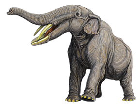 Amebelodon britti