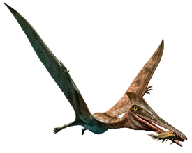 Een pterodactylus met een zojuist gevangen vis