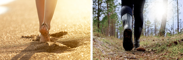 De bodem op het strand ziet er heel anders uit dan in het bos. 