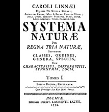 Linnaeus Systema Naturae 1758.jpg