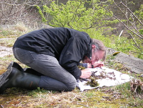 Menno op zoek naar slakken in de duinen bij Santpoort.