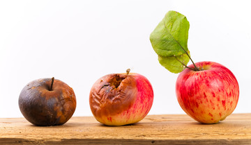 Bacteriën eten graag fruit. Ze zorgen ervoor dat het gaat rotten.