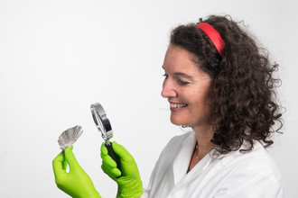 Becky onderzoekt een vleugel.