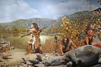 Onze vroege voorouders waren jagers en verzamelaars