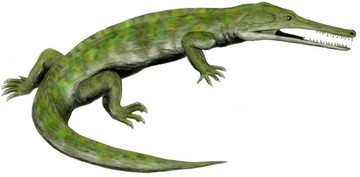 Champsosaurus