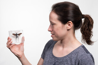 Collectiebeheerder Frederique Bakker met een bakje in haar hand met een insect erin