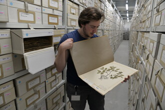 Marnel houdt een herbariumvel vast in de botanie collectie van Naturalis