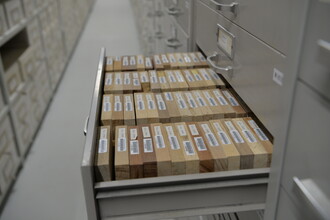 Allerlei blokjes hout bewaard in een lade in de botanie collectie