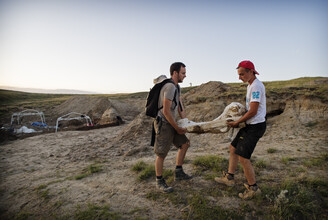 Opgraven van Triceratops in Wyoming.