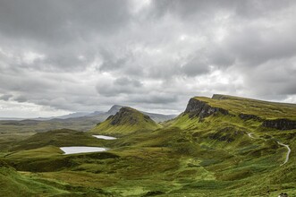 Met mos begroeid landschap