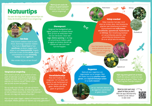 Natuur tipblad achterkant