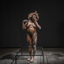 Een beeld van Homo erectus